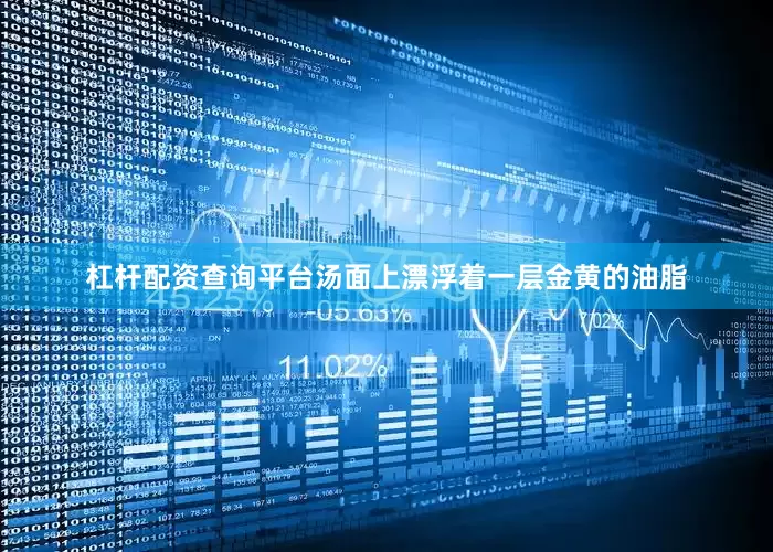 杠杆配资查询平台汤面上漂浮着一层金黄的油脂