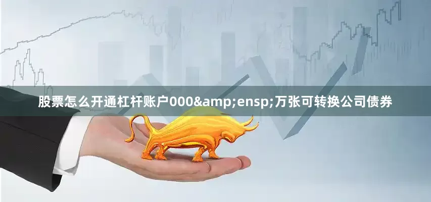 股票怎么开通杠杆账户000&ensp;万张可转换公司债券