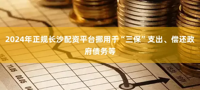 2024年正规长沙配资平台挪用于“三保”支出、偿还政府债务等
